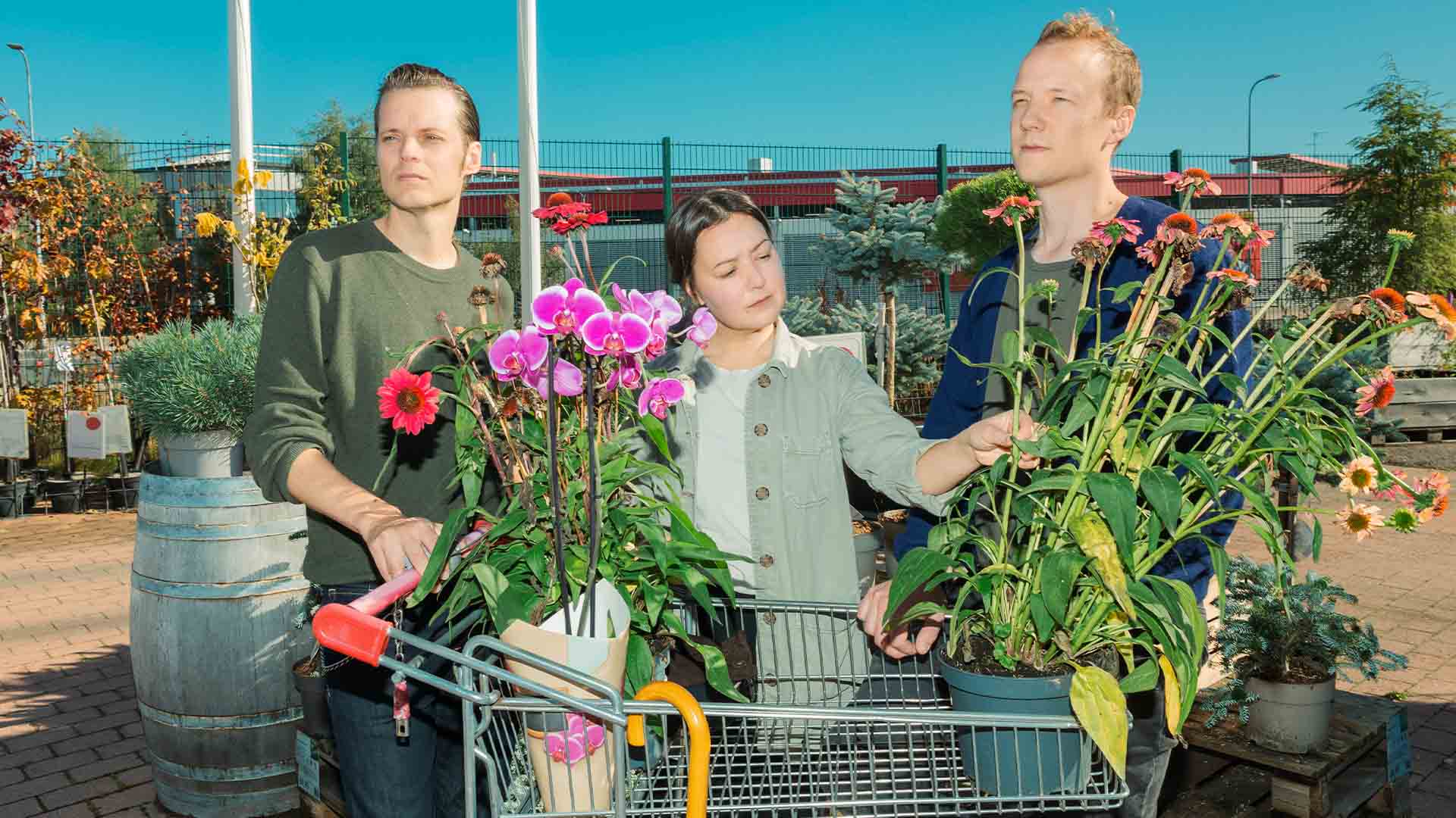 Drammen Litteraturfestival: Vasas Flora och Fauna